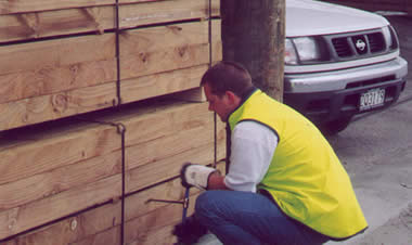 Sampling timber